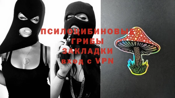 спайс Алзамай